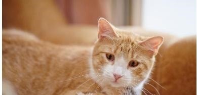 知识|10个趣味冷知识!女孩子为什么不能叉开腿坐