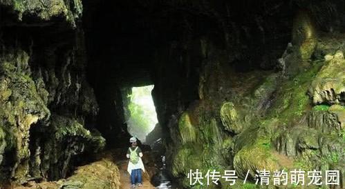 刘媪#“真龙”现世,长近13米,最粗处达6米,专家:至少存在了上亿年