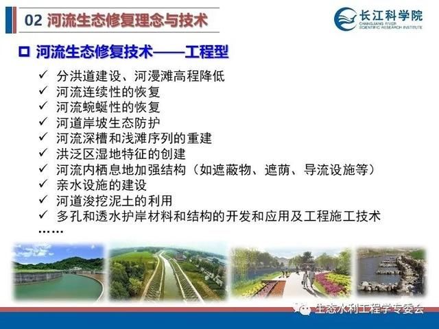 河流|「专家视角」许继军：河流生态修复理念、技术与实践