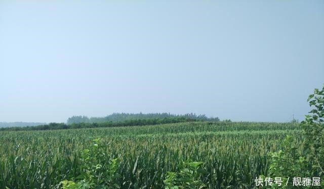 史学家|周武王的“有夏之居”,忽悠了历朝历代的所有先秦史学家!