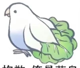 慢著,先別急著罵他low