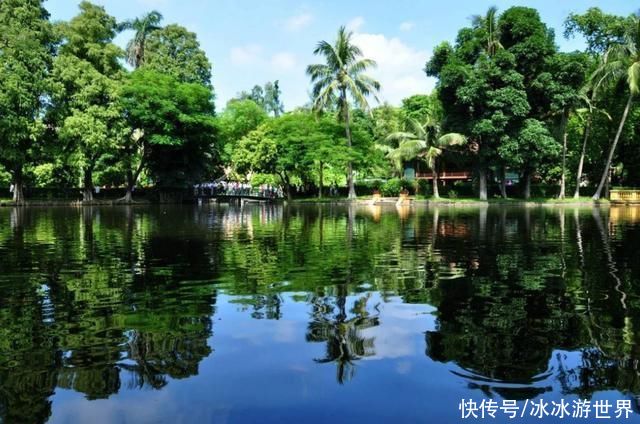 云南这个城市，是国内唯一的热带雨林，拥有丰厚的旅游资源