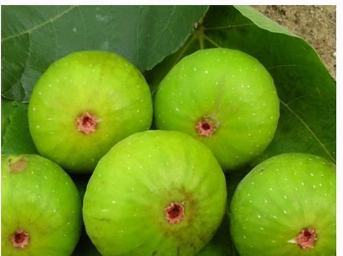 营养|很有营养的3种食物,只得天天吃一些,排毒养颜,增强体质!