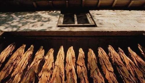 剩饭菜|喜欢在这3件事节省的人,更容易长寿?如果你能占一个,也不错哦