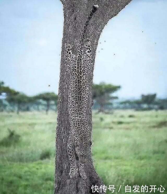 |「被窝段子20220131」生活嘛 慢慢来 所有的好运都在路上