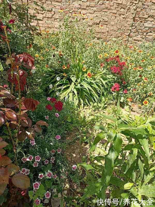 本来有个一楼院子,后来因养花换成天台,真是后悔