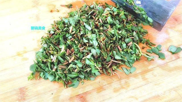 马齿苋正鲜嫩，既是美食又是良药，教你新吃法，上桌全家都抢着吃