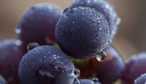 山楂|女生来生理期，使劲吃3种食物，可排出子宫污血，体重嗖嗖狂降