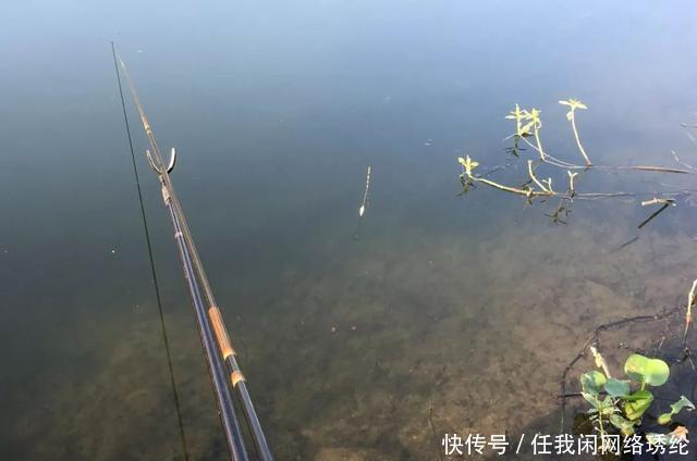 饵料|关于钓鱼的五个真实感受,新手可别被“骗”,钓鱼没那么好玩