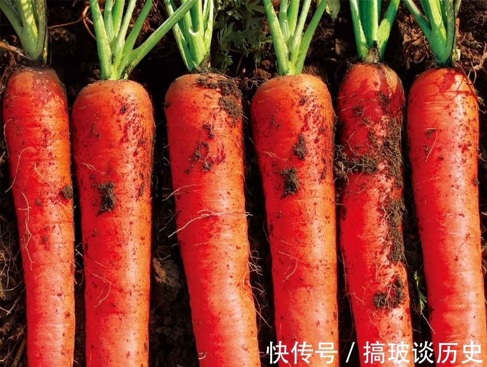 维生素男生身高不足170？这3种天然“增高药”，或许能“拉”你一把