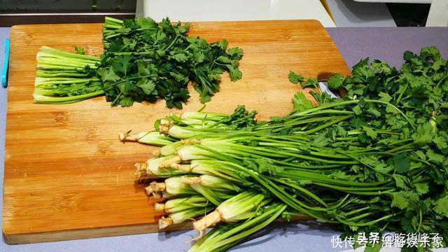 峰子|刚知道,香菜要这样保存,随吃随取,和刚买的一样新鲜,特简单