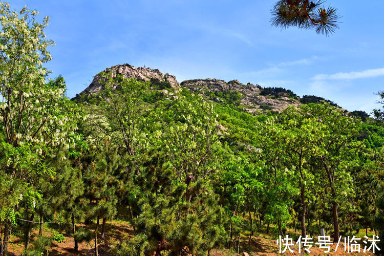 情定三生|美丽的苍马山