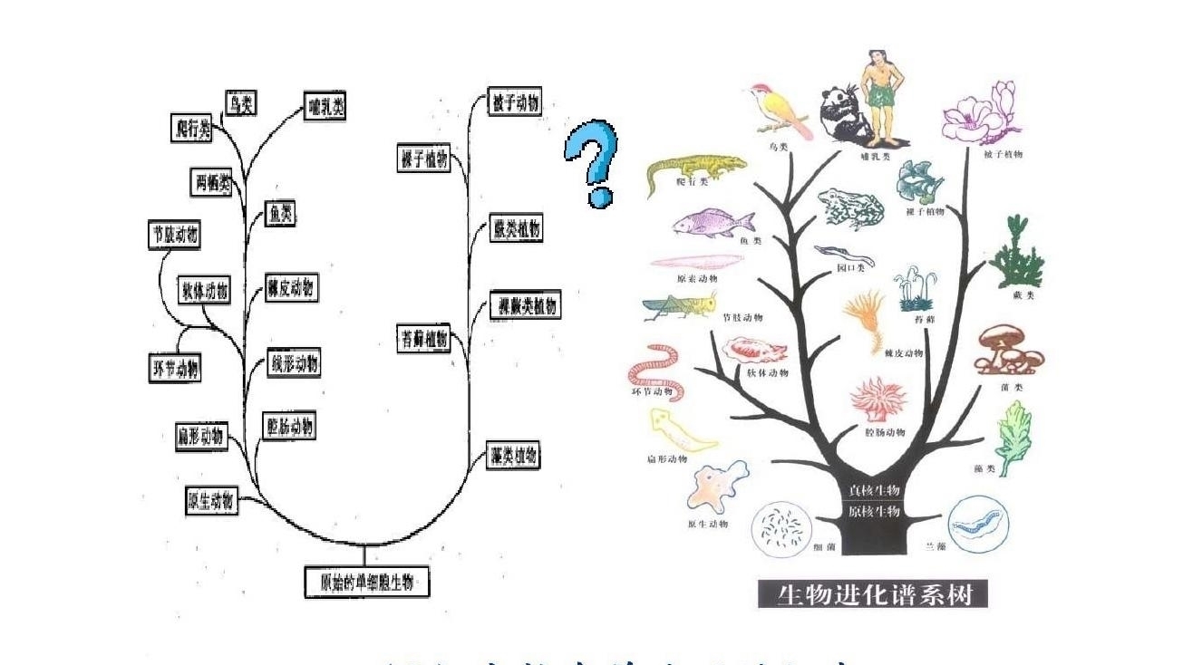 如果穿越回去杀死地球第一个生命，可以灭亡这个地球所有生物吗