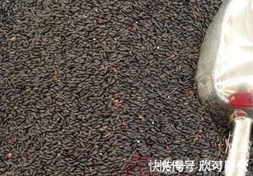 排毒|红枣和此物一起煮,滋阴养肾,排毒祛湿,头发乌黑亮丽,肌肤红润