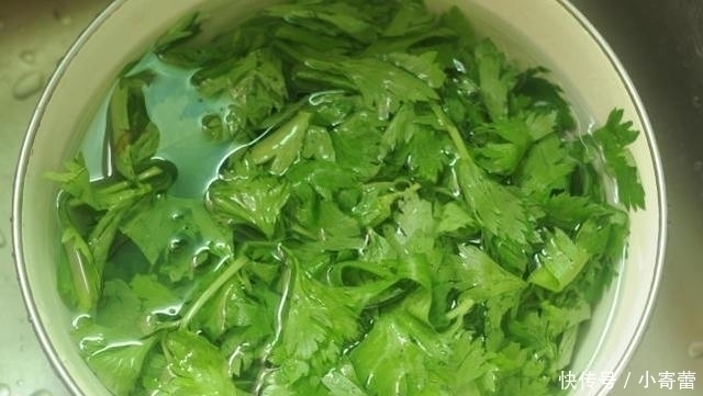 小苏打|夏天, 别再做韭菜馅了, 5毛钱一斤的它, 利尿排毒, 最适合包饺子