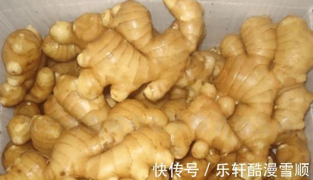 晾晒|保存生姜,不要只会放冰箱,学会一个好方法,放半年还很新鲜