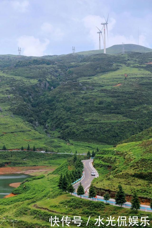 避暑胜地！“地无三尺平”的贵州，藏着一个大草原和一种传奇野果