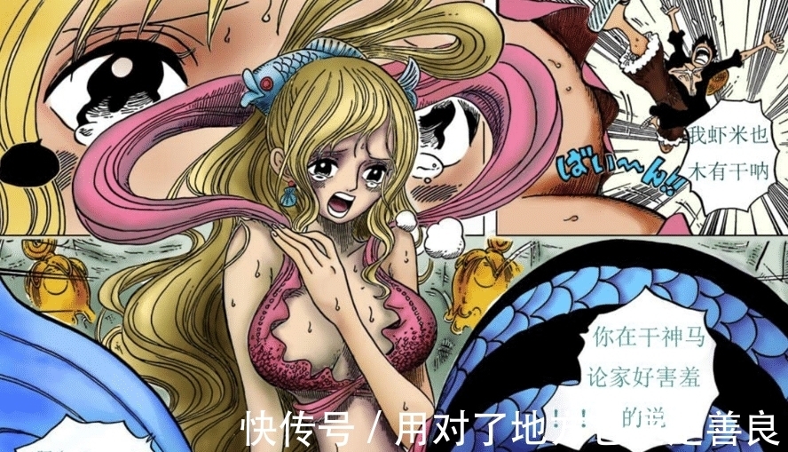 后宫团|海贼王:路飞的后宫团,不是女帝,而是公主