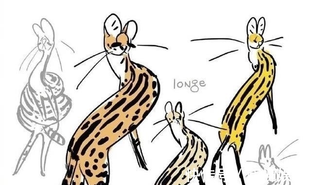 画师|网友吐槽见到只螺旋猫,画师大佬帮他画了出来