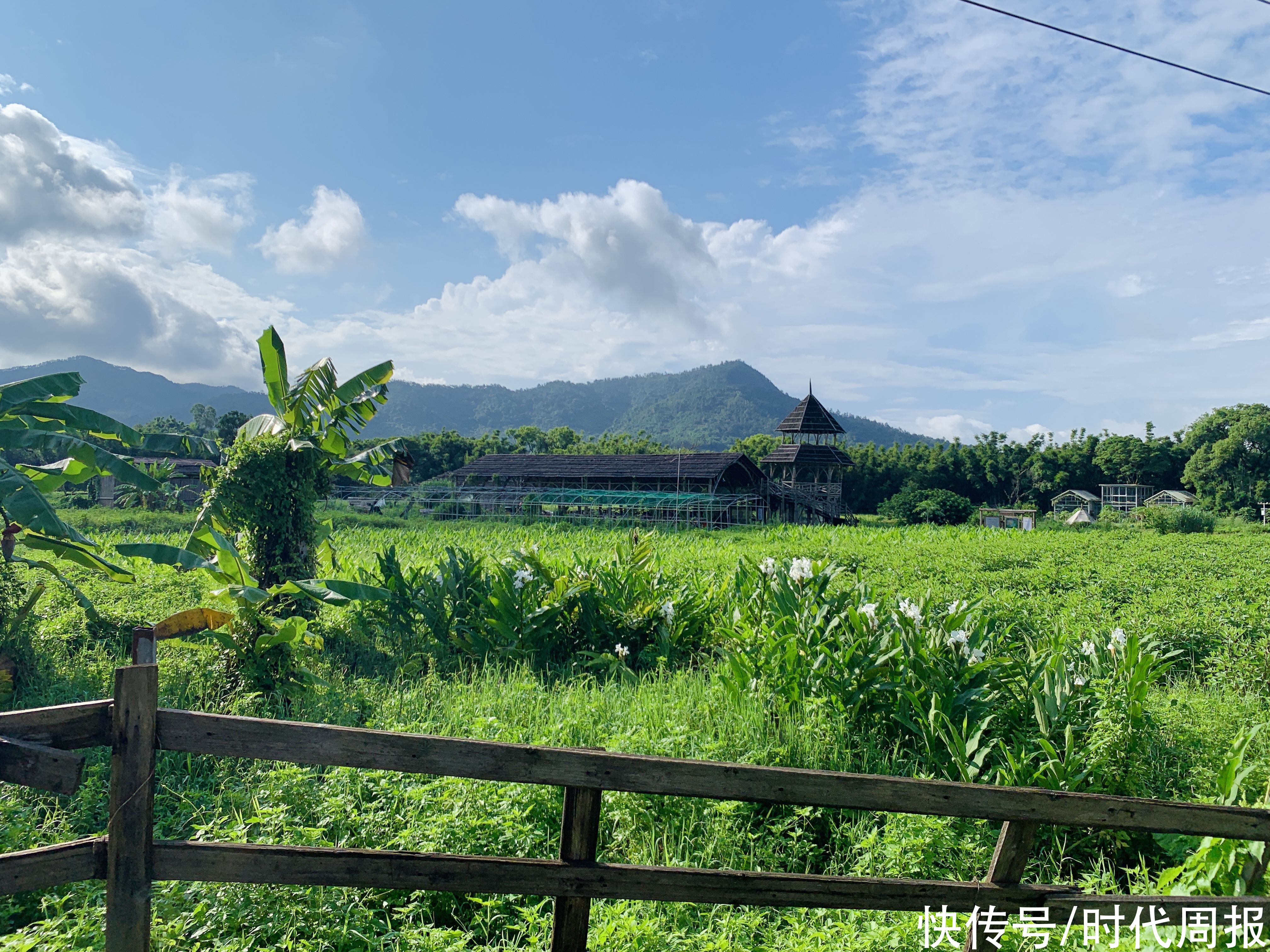 小郝|逃离城市和大厂，这个村里藏着一群反内卷的年轻人