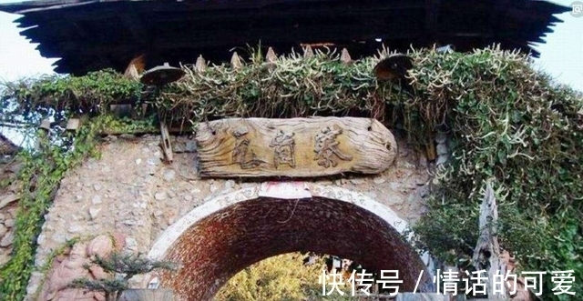 瓦岗寨!历史上真实的瓦岗寨,瓦岗五虎将并不亲密,他们其实属于三个阵营