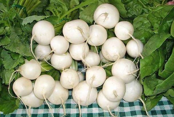 啤白|最好的解酒药,不是大蒜而是它,酒前嚼3粒,啤白混喝天亮都不醉