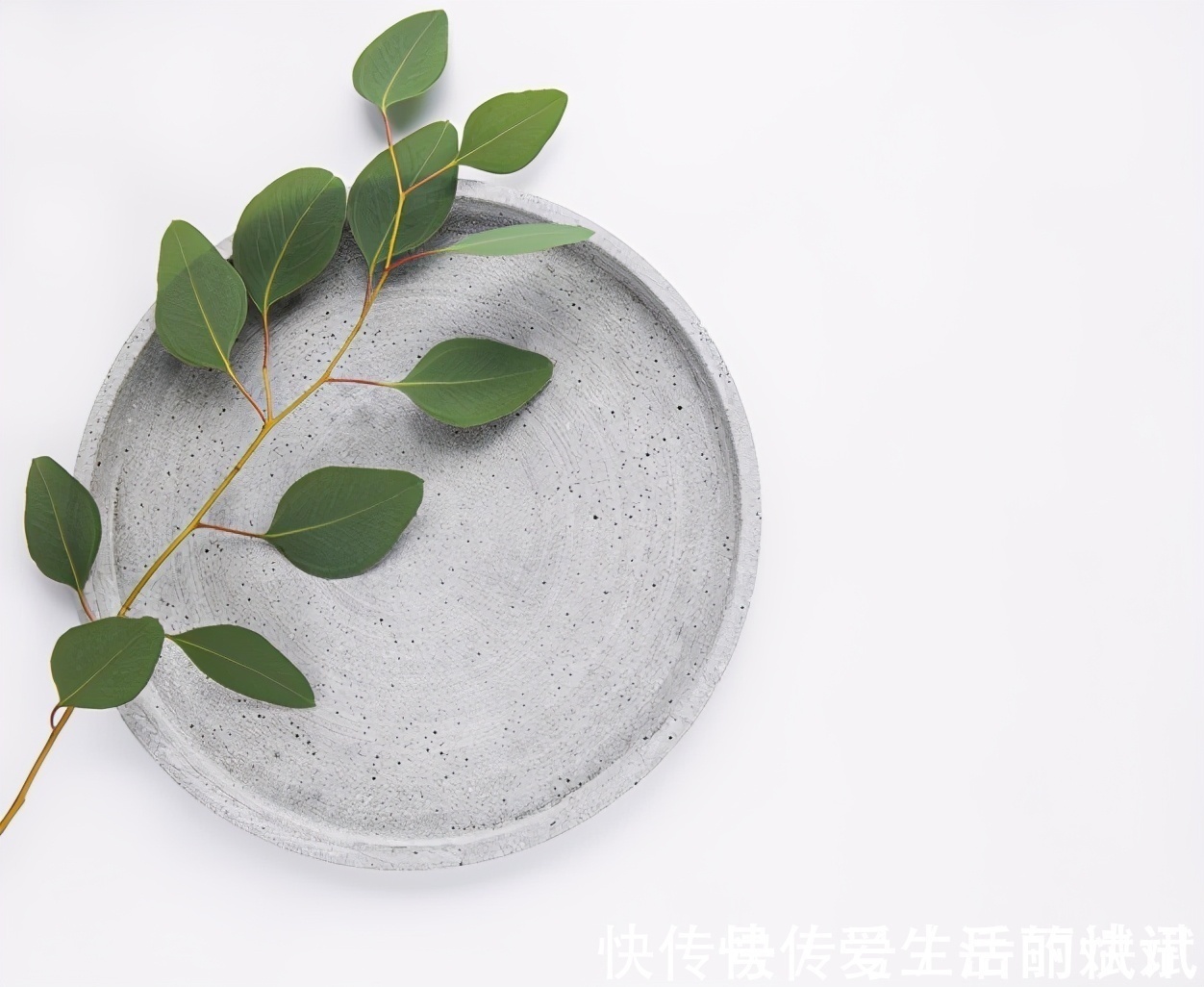 三十而已#读书的女人和不读书的女人,有哪些本质的差别