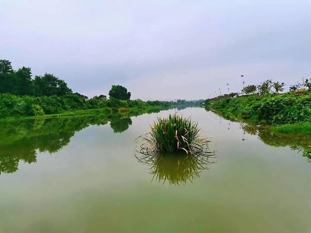 桃花江地名趣谈小桃花江