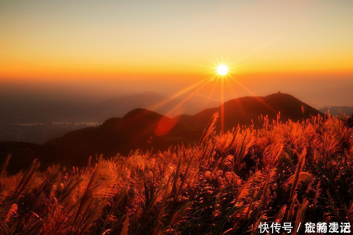 酒糟|走进永州阳明山，看杜鹃花海，赏云山雾海，吃猪脸腌制的酒糟肉