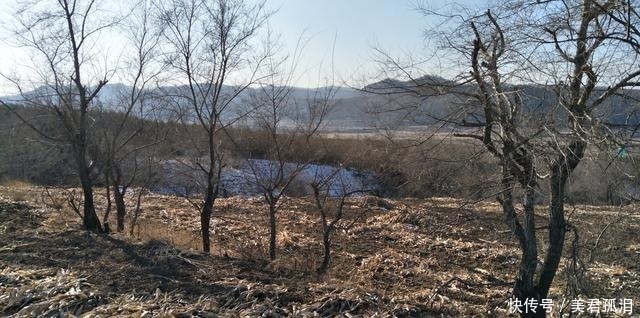 哈束力@历史上西丰经过多次开垦,几次失败后,为清末完全弛禁埋下了伏笔
