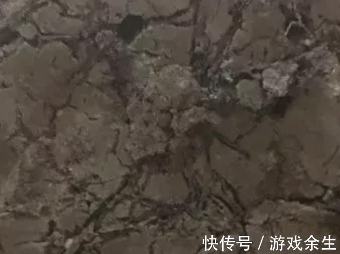 盆土板结怎么办,养花一定要有好土,你都了解过嘛