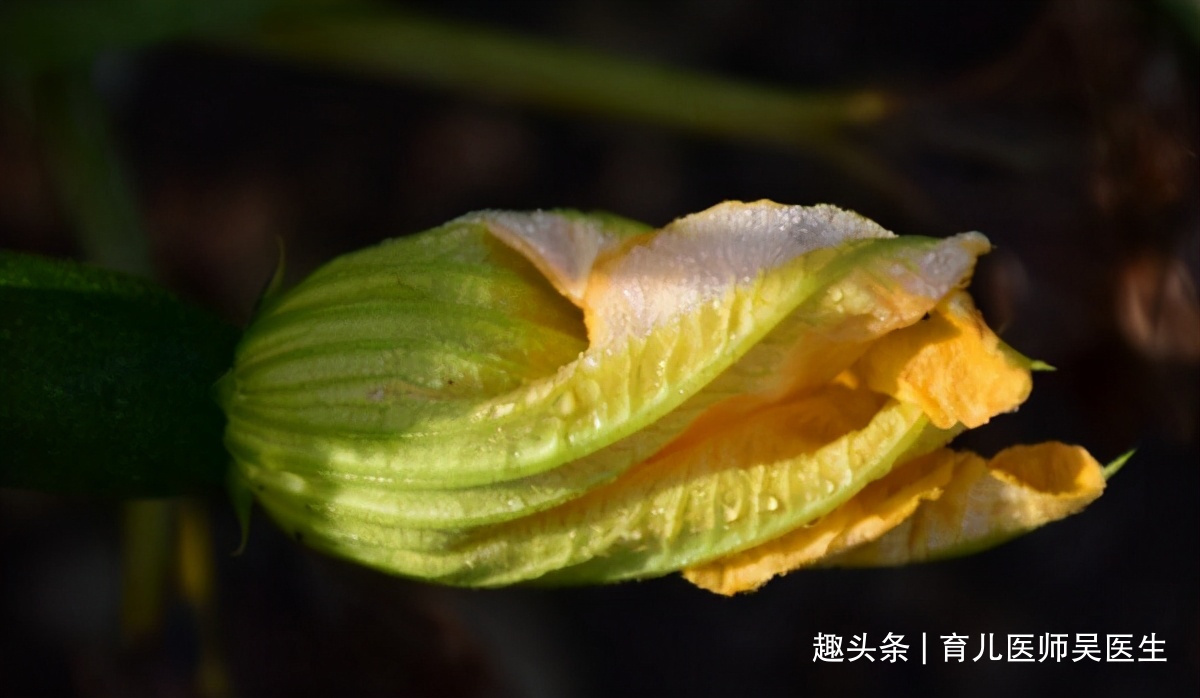 滋阴利水|预防身体衰老，推荐吃的好食物，清热解毒，滋阴利水，滋补养颜