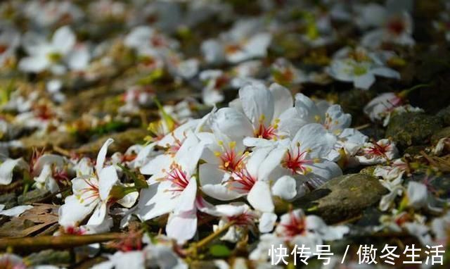 锦瑟@赏八首美到令人窒息的经典古诗词,感受最真挚的情感