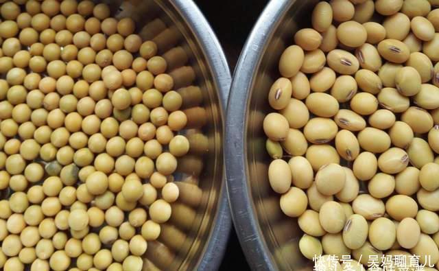 在家|教你在家发豆芽,不用土壤不用肥料,3天就能吃,脆嫩营养又卫生