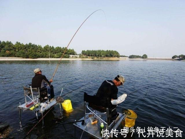 饵料|冬钓鲫鱼,牢记5个字,渔获猛增,老钓友都觉得666