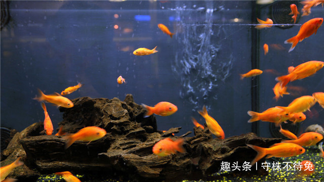 26个冷知识书本上不会有,但却真实存在着