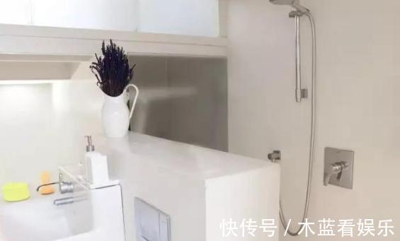 墙面|20㎡超小迷你房,日常生活功能区齐全,大胆又精致的设计