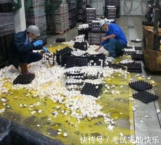 |47张“倒霉又搞笑”的图片，这些人上辈子是毁灭了银河系吗？