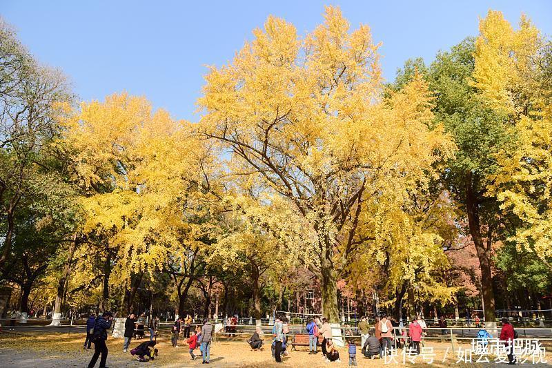 校训|被江苏高考状元嘲讽，苏州大学：希望我们的校训对该孩子有所启迪