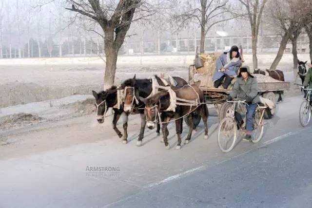 38年前一对美国夫妻，随手拍的中国旅游照，看哭了所有人……