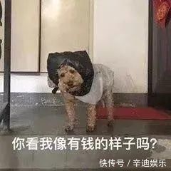 女友|“男友因女友像鲶鱼要分手！”某宝的评价笑到窒息…哈哈哈哈