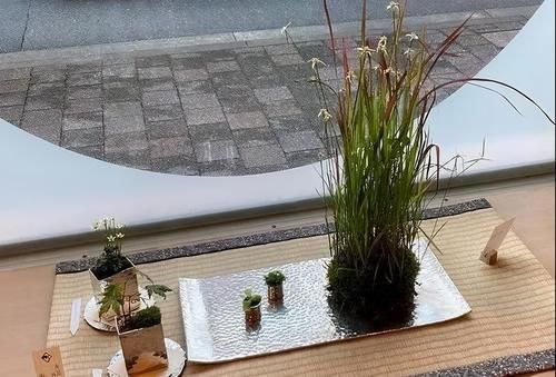 备好素材 轻松制作出美轮美奂的苔玉盆景 值得你拥有 快动手 粉紫色