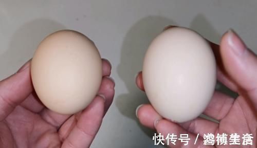 氨基酸|鸡蛋时,买大的好还是小的好?商贩偷偷告诉我,真的长知识了