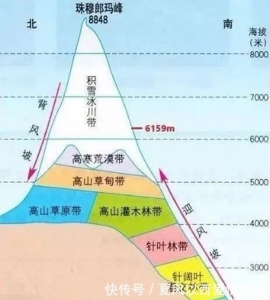 人类|珠穆朗玛峰长草，全球气候变暖，对人类来说意味着什么？