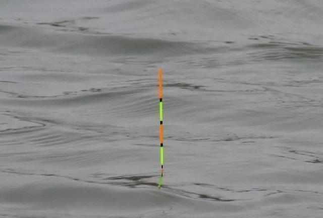 浮漂|浮漂顶起又落下，提竿却均不中鱼解读3种奇怪漂相不中鱼的原因