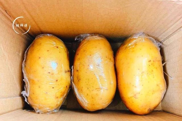 发芽的土豆到底能不能吃？原来我们一直都弄错了，看完后涨知识了