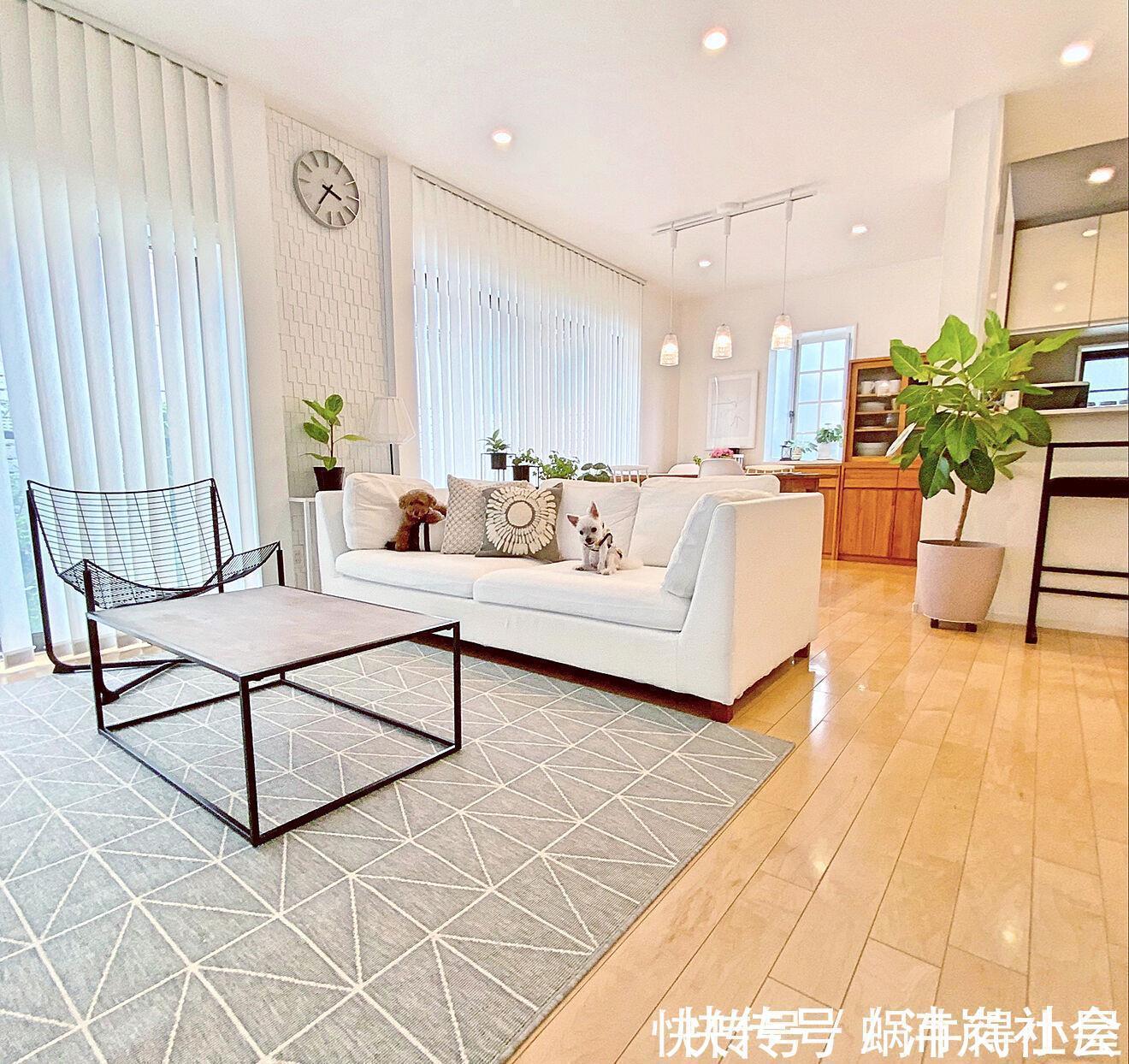 一线城市|为什么日本人家里小,从不抱怨拥挤?因为他们7个地方设计得好