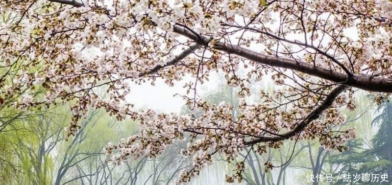 刘伯温的这首七绝咏雨诗,也是难得的佳作,整首诗充满了诗情画意