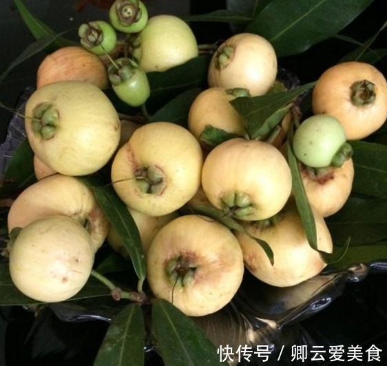  被南方“抛弃”的水果，一年结果3次，香甜解渴，现北方人抢着吃