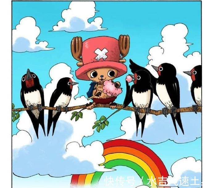 海贼王|海贼王扉页故事之乔巴虽然我很小,但是我很厉害